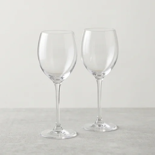 Viski Nick and Nora Glasses view 2